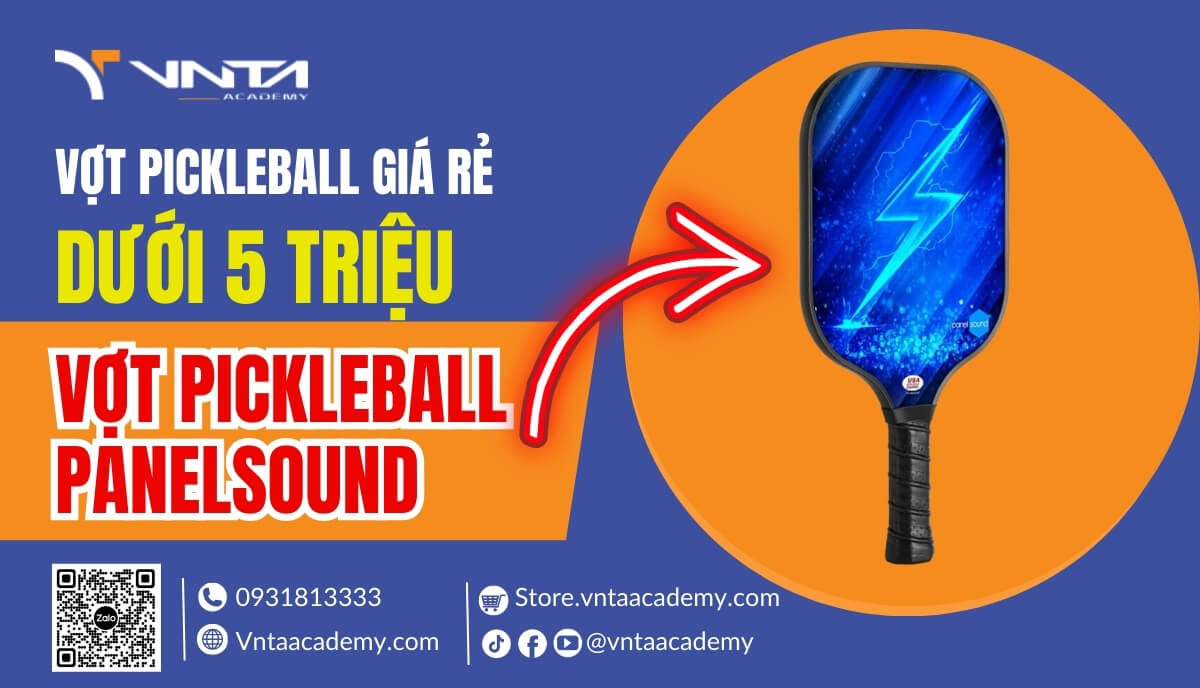 Vợt Pickleball Panelsound - Vợt Pickleball rẻ nhất hiện nay, giá dưới 5 triệu