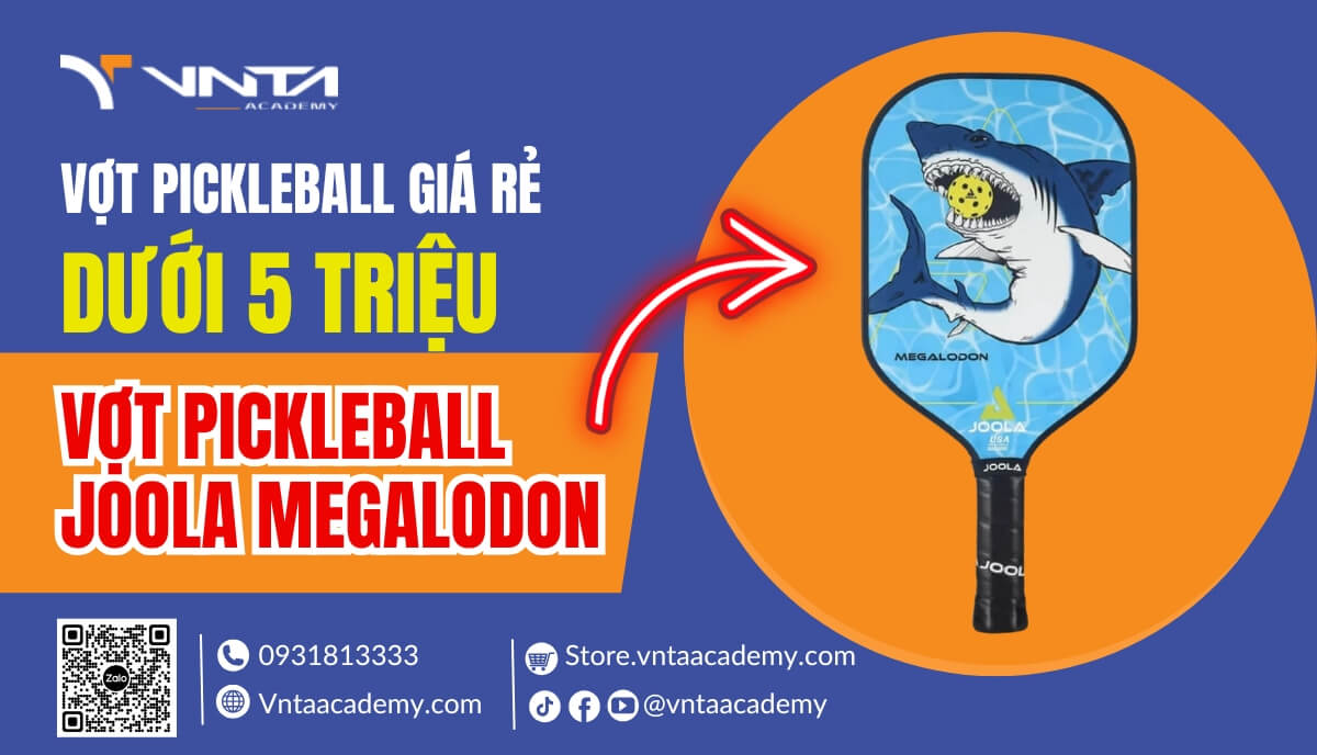 Vợt Pickleball trẻ em Joola Megalodon - Một trong những cây vợt Pickleball dưới 5 triệu nên mua